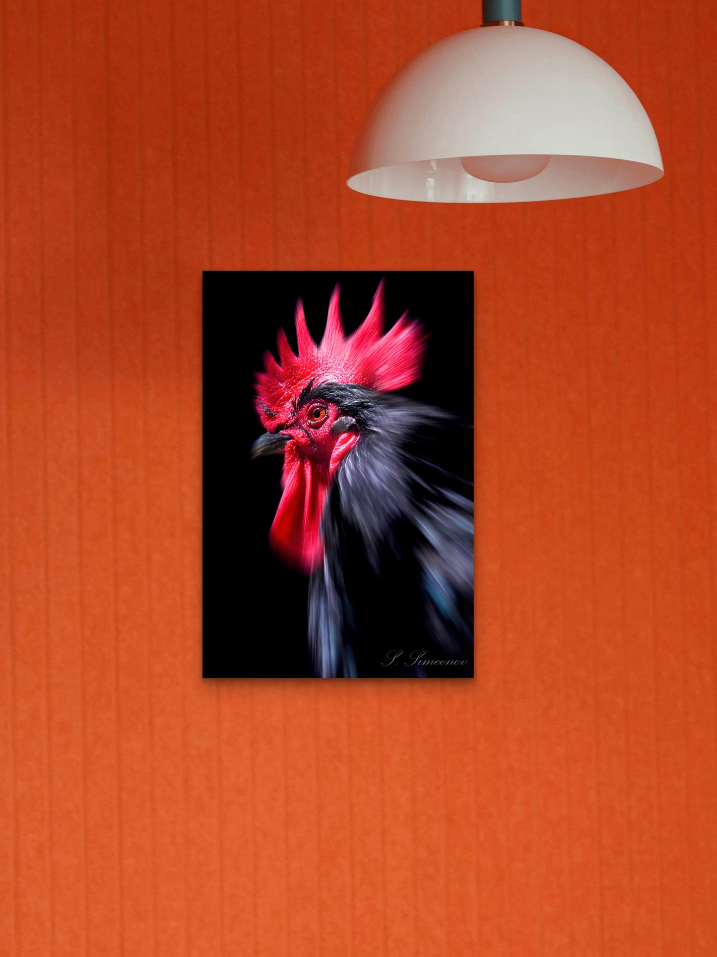 Black Rooster
