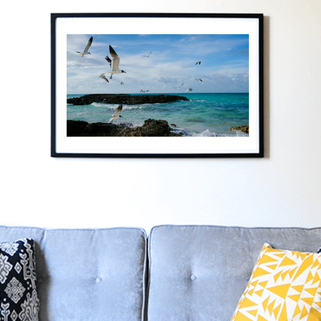 Shop Prints