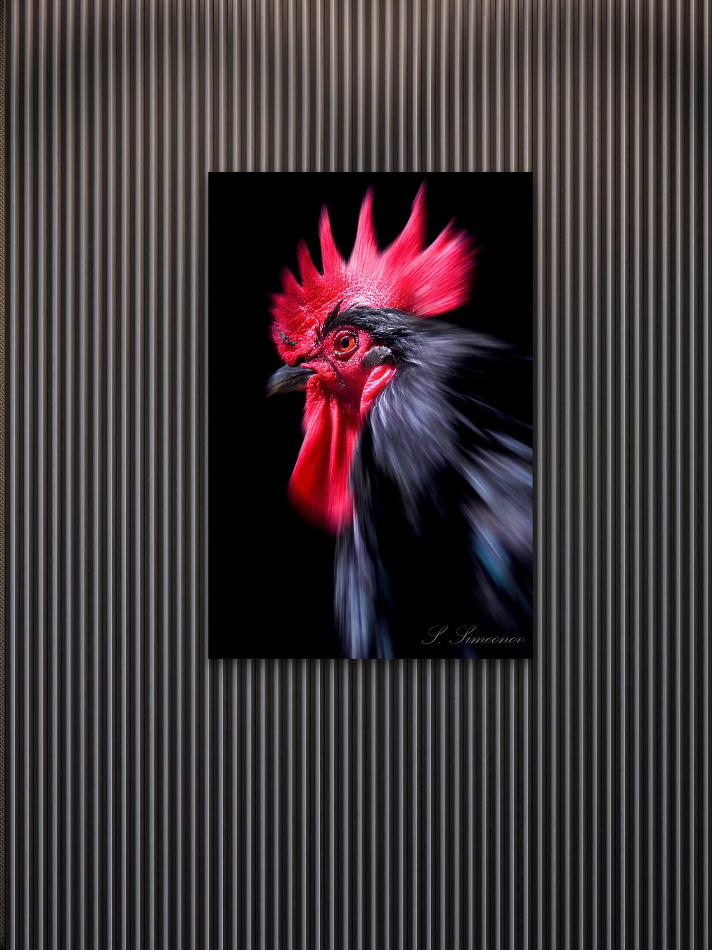 Black Rooster