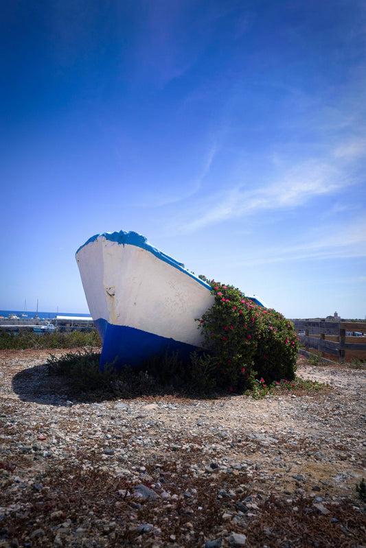 Forgotten Vessel